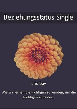 Cover of the book Beziehungsstatus Single by Kai Althoetmar
