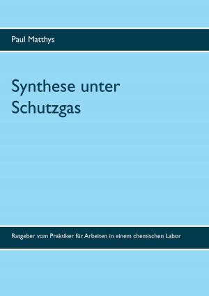 Cover of the book Synthese unter Schutzgas by Nina Hadler