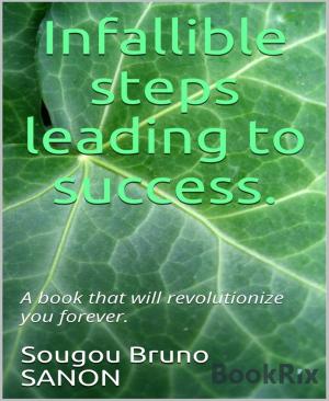 Cover of the book Infallible steps leading to success by Anna Martach