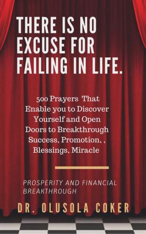 Cover of the book There is no excuse for failing in life: by Angelika Nylone