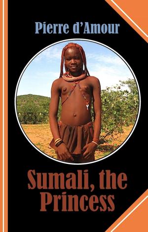 Cover of the book Sumali, the Princess by Alfred Bekker, Marten Munsonius