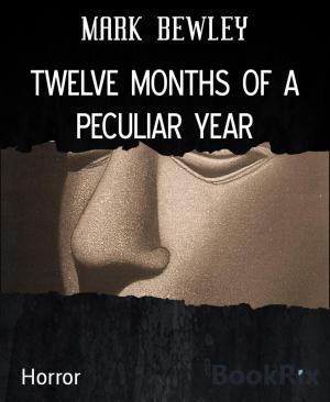 Cover of the book TWELVE MONTHS OF A PECULIAR YEAR by Michael Ziegenbalg