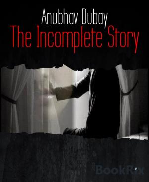 Cover of the book The Incomplete Story by Klaus Strohmaier