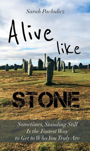 Cover of the book Alive Like Stone by Anna Roth
