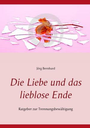Cover of the book Die Liebe und das lieblose Ende by Blanca Imboden