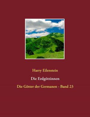 Cover of the book Die Erdgöttinnen by Klaus Hinrichsen