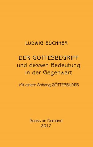 Cover of the book Der Gottesbegriff und dessen Bedeutung in der Gegenwart by Winfried Weber