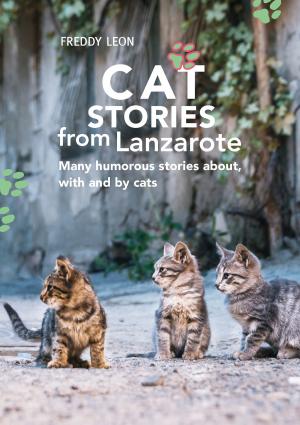Cover of the book Cat Stories from Lanzarote by Hans-Werner Johannsen