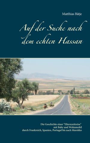 Cover of the book Auf der Suche nach dem echten Hassan by Helmold Swoboda