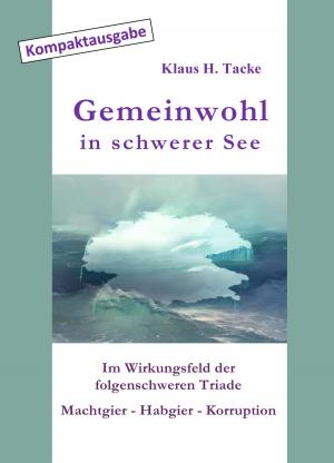 Cover of the book Gemeinwohl in schwerer See by Andre Le Bierre