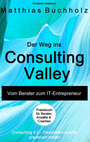Cover of the book Der Weg ins Consulting Valley by Davor Antunovic