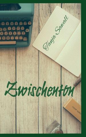 Cover of the book Zwischenton by Birgit van der Heiden