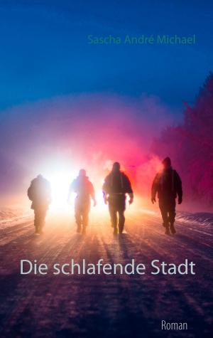 Cover of the book Die schlafende Stadt by Anson Scott