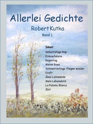 Cover of the book Allerlei Gedichte by Christian Springer