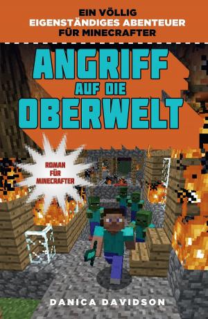 Cover of the book Angriff auf die Oberwelt by Todd McFarlane, Erik Larsen