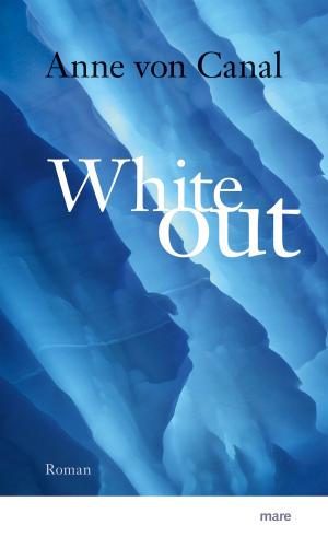 Cover of the book Whiteout by Isabelle Autissier