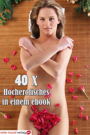 Book cover of 40 x Hocherotisches in einem ebook