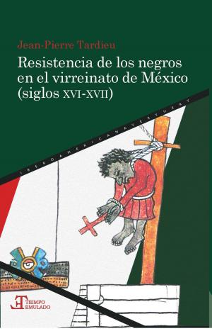 Cover of the book Resistencia de los negros en el virreinato de México (siglos XVI-XVII) by Javier de Navascués
