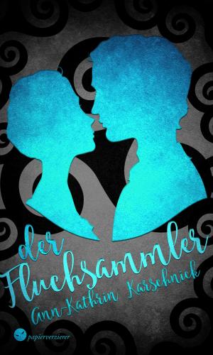 Cover of the book Der Fluchsammler by Melanie Vogltanz