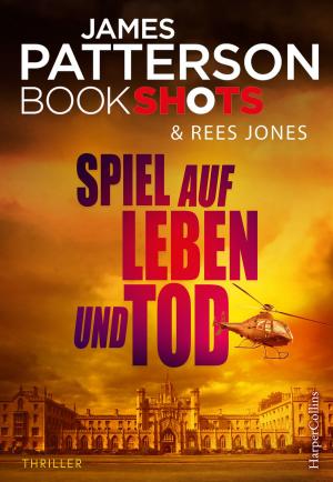 Cover of the book Spiel auf Leben und Tod by Brendan Carroll