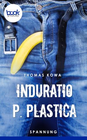 Cover of the book Induratio p. plastica (Kurzgeschichte, Krimi) by R.T. Hamilton Brown