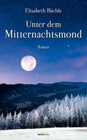 Cover of the book Unter dem Mitternachtsmond by Tobias Schier, Tobias Schuffenhauer