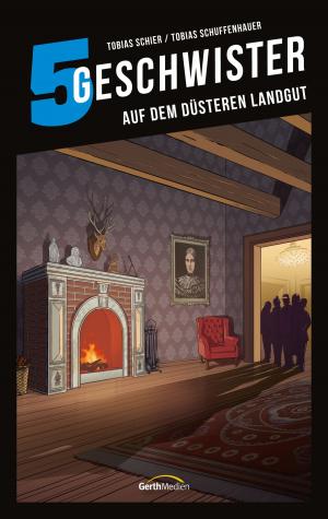 Cover of the book 5 Geschwister: Auf dem düsteren Landgut (Band 16) by Elisabeth Büchle