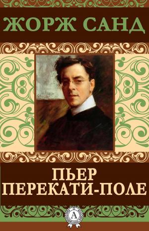 Cover of the book Пьер Перекати-поле by Борис Акунин