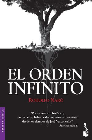 Cover of the book El orden infinito by Carlos Gil Andrés, Julián Casanova
