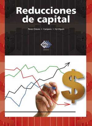 Cover of the book Reducciones de capital 2017 by José Rico Munguía