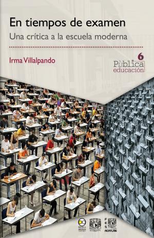 Cover of the book En tiempos de examen by Adolfo Castañón