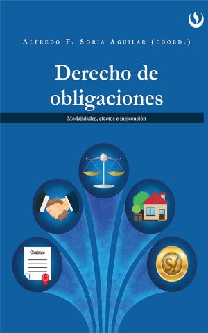 Cover of the book Derecho de obligaciones by Dr Dale Phillips
