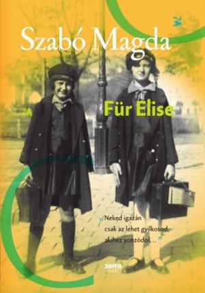 Cover of the book Für Elise by Flax Perry