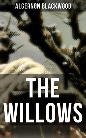Cover of the book THE WILLOWS by William Somerset Maugham