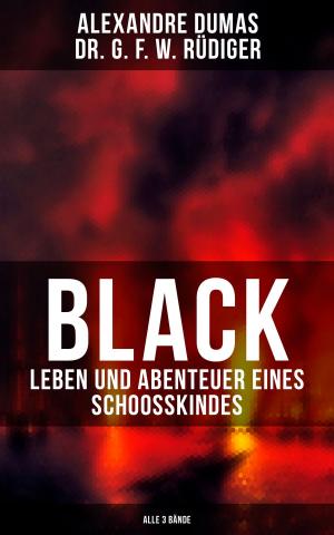 Book cover of Black: Leben und Abenteuer eines Schoosskindes (Alle 3 Bände)