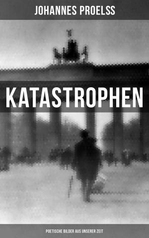 Book cover of Katastrophen: Poetische Bilder aus unserer Zeit