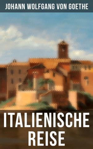 Book cover of Goethe: Italienische Reise