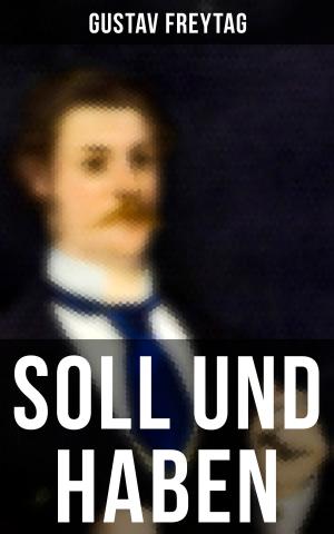 Cover of the book Soll und Haben by Josef Haltrich