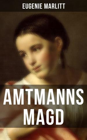 Cover of the book Amtmanns Magd by Fyodor Dostoyevsky