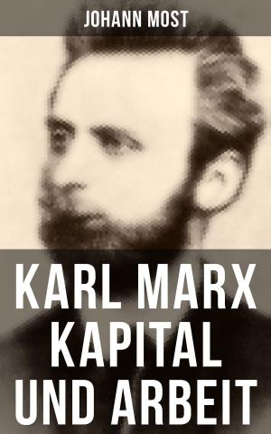 Book cover of Karl Marx: Kapital und Arbeit