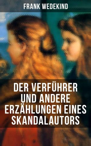 Book cover of Der Verführer und andere Erzählungen eines Skandalautors