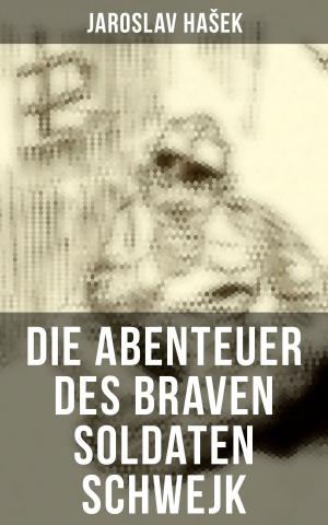 Book cover of Die Abenteuer des braven Soldaten Schwejk