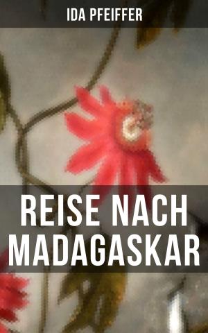 Cover of the book Reise nach Madagaskar by Lou Andreas-Salomé
