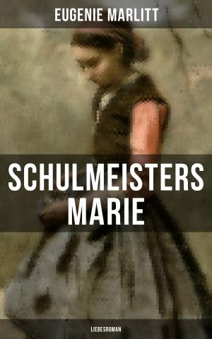 Cover of the book Schulmeisters Marie: Liebesroman by Theodor Lessing