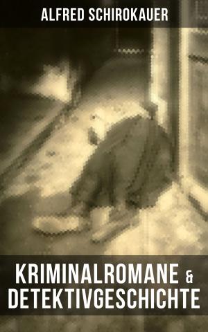 Cover of the book Kriminalromane & Detektivgeschichte von Alfred Schirokauer by Neven Carr