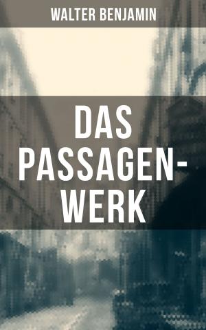 Book cover of Das Passagen-Werk