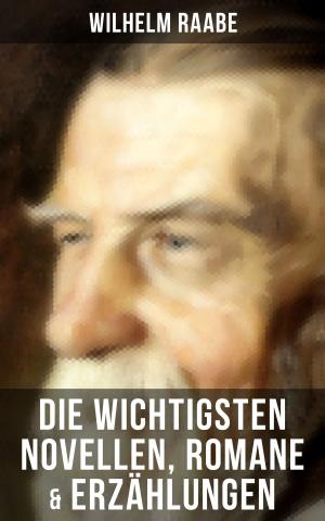Cover of the book Die wichtigsten Novellen, Romane & Erzählungen von Wilhelm Raabe by William Patterson White