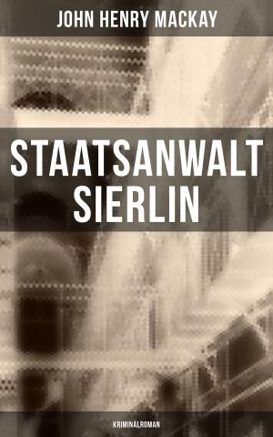 Cover of the book Staatsanwalt Sierlin: Kriminalroman by J.R. Slatcher
