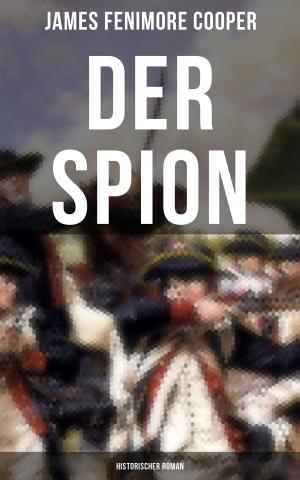 Cover of the book DER SPION: Historischer Roman by Q. V. Hunter
