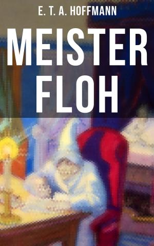 Cover of the book Meister Floh by Hugo Ball